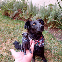 Cargar imagen en el visor de la galería, 1 Perritoy Tu mejor amigo hecho figura